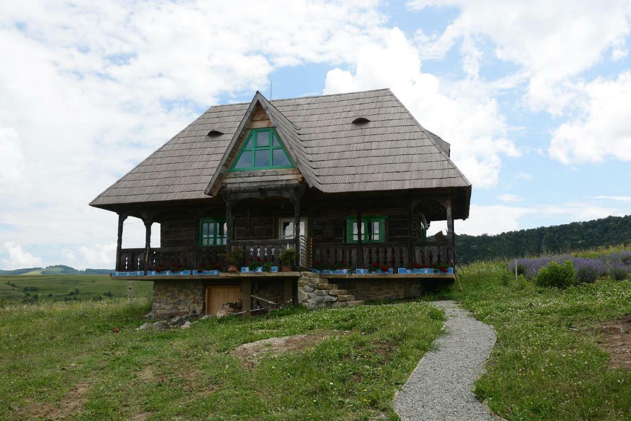 Casa Glod Pensionat Glod  Exteriör bild